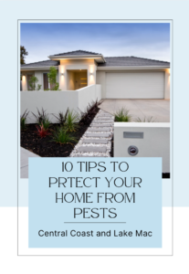 DIY Pest Control Guide for Homeowners on the Central Coast & Lake Macquarie